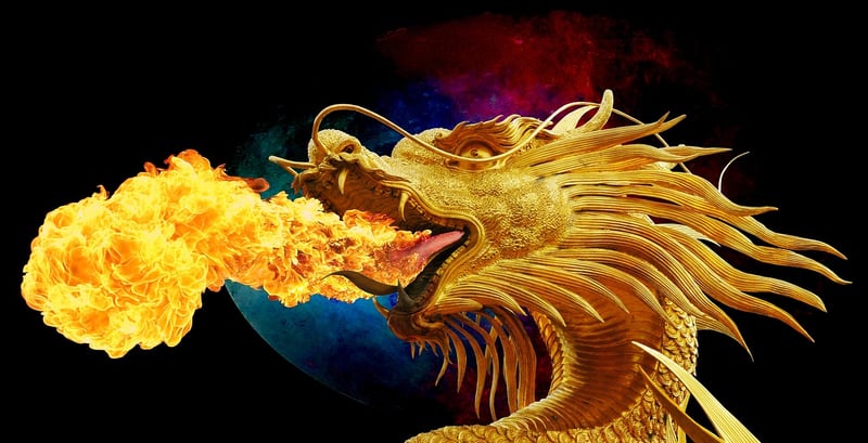 Dragon Fire Cuisine